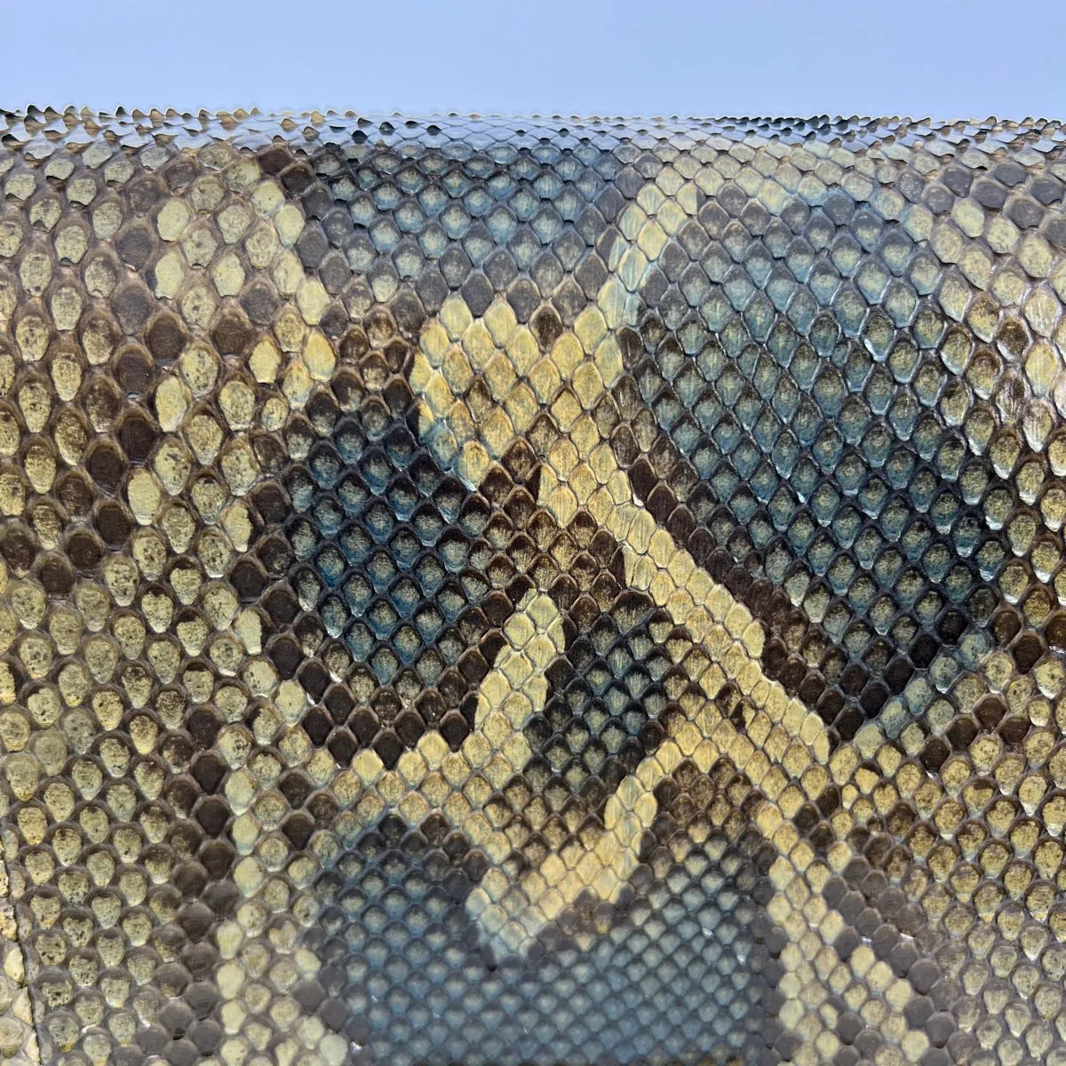 Chanel Python Boy Bag